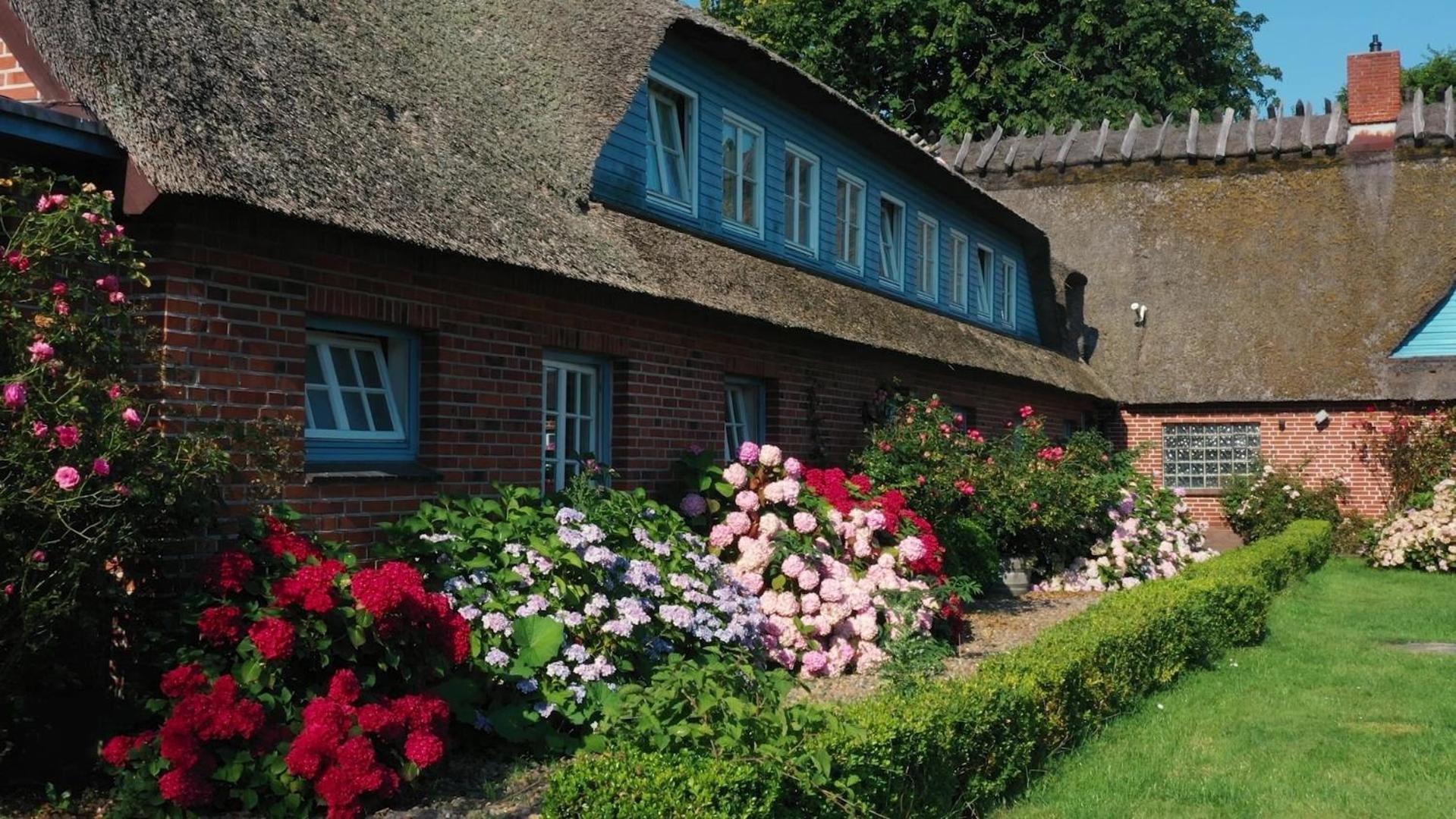 Strandhaus Falshoeft 3 Nieby (Nieby, Schleswig-Flensburg) Exterior foto
